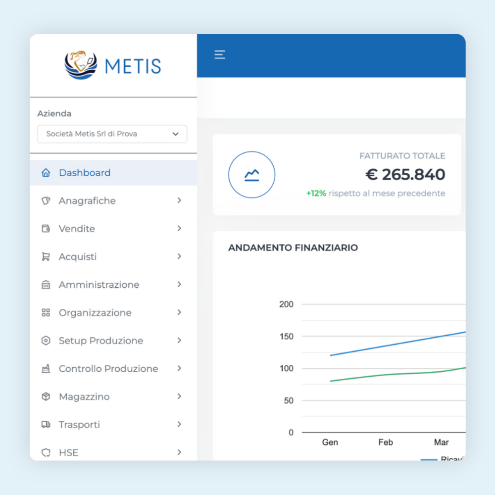 Metis Software